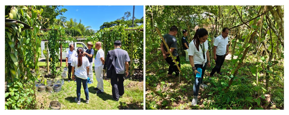 From Left to Right: Site inspection at Pitahaya Farm and La Granja Farmers and Agri-ventures Association Inc., Tacloban City, Leyte